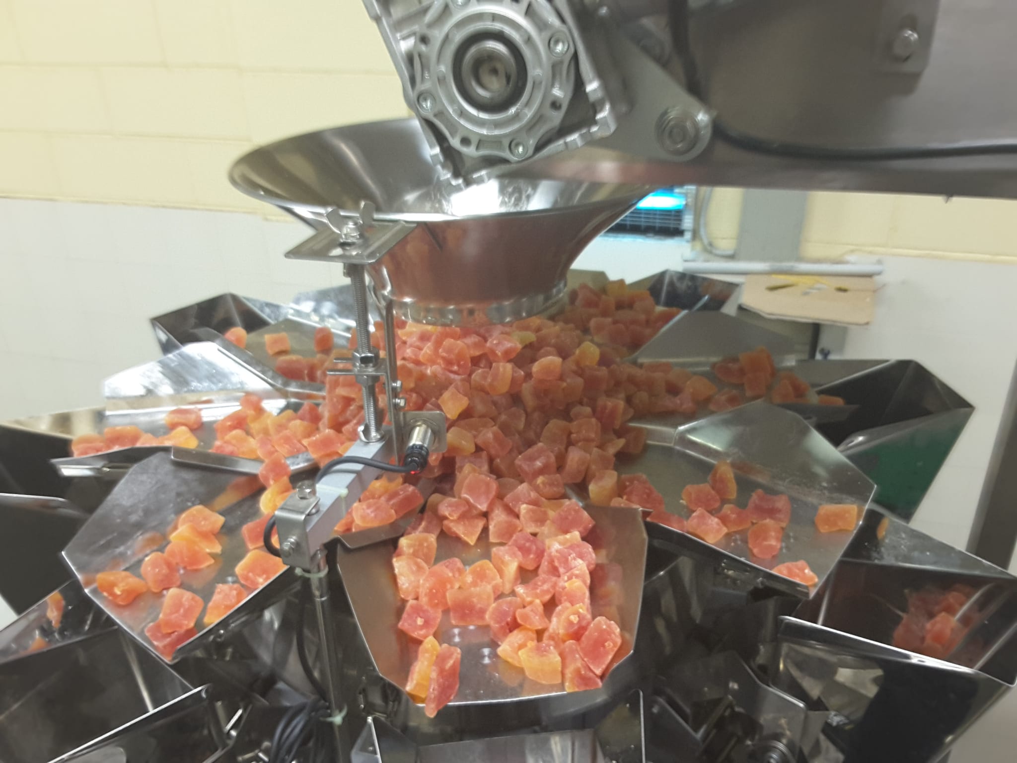 Candied Fruit multihead weigher