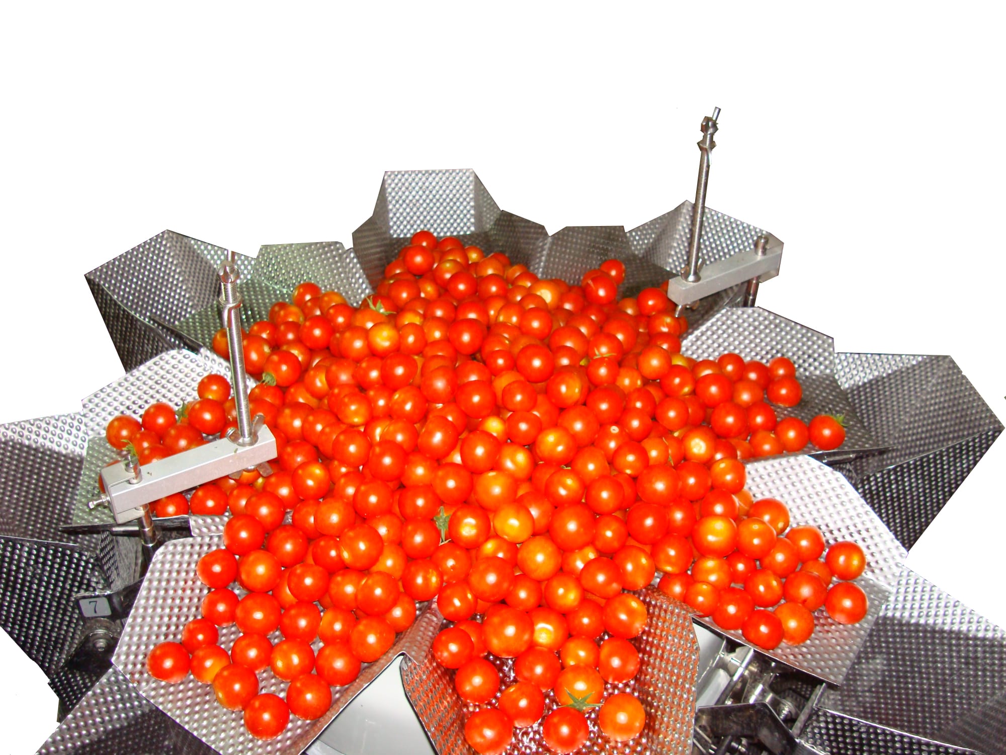 Cherry Tomatoes multihead weigher