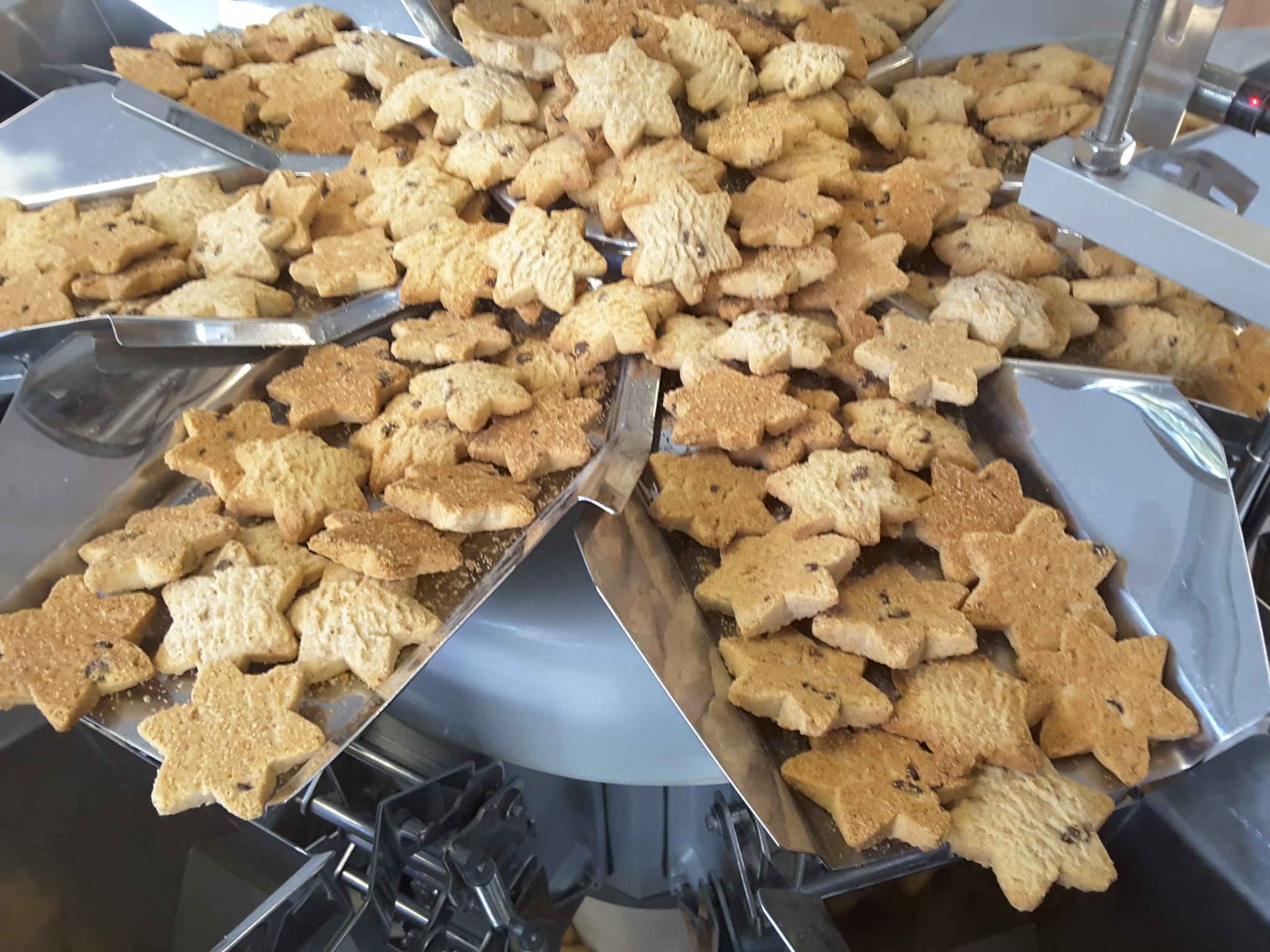 Cookies multihead weigher