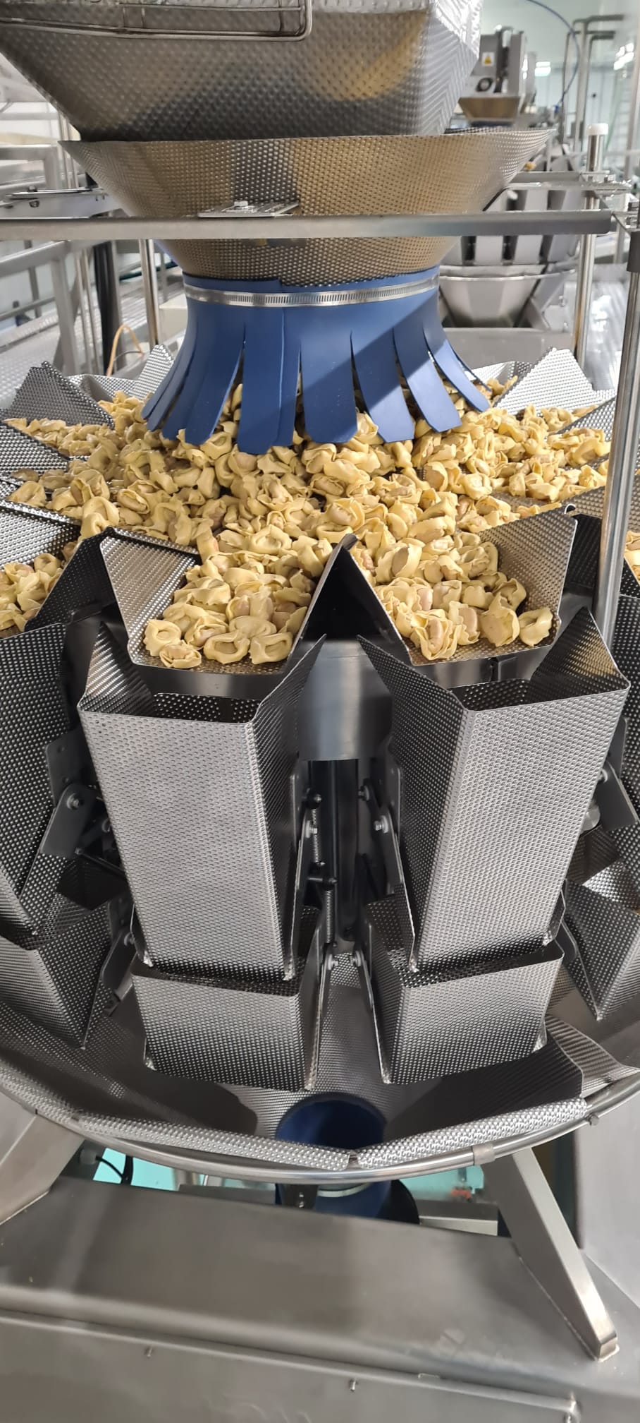 Fresh Tortellini multihead weigher